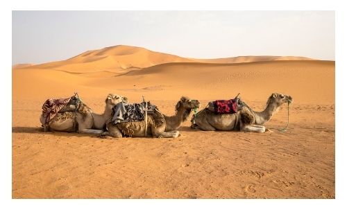Holiday Deals Morocco