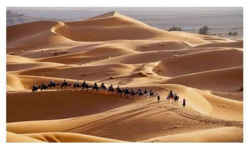 Sahara Desert Morocco Trip